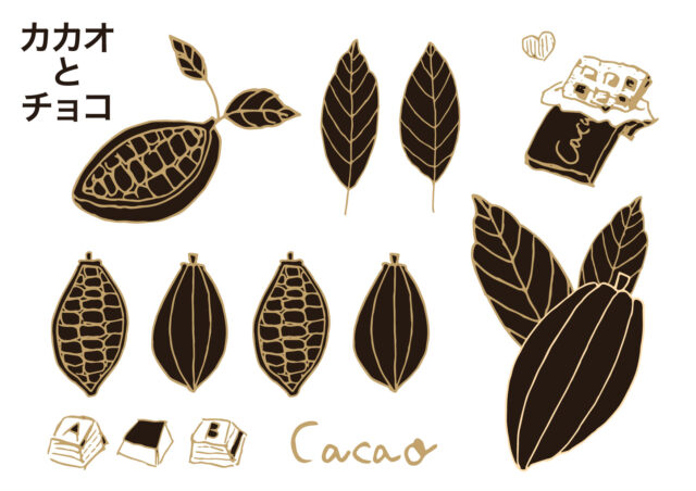 チョコレートは肥満の原因ではなかった。